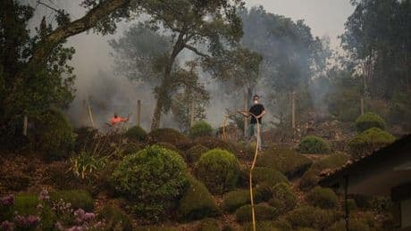 Waldbrände in Südeuropa weitgehend eingedämmt – Gefahr bleibt