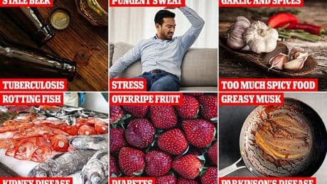 Revealed: What the smell of your BODY ODOUR says about you, according to science