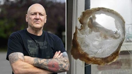 Prisoners ‘use drones to smuggle in takeaways and guns’ after cell bars break off windows
