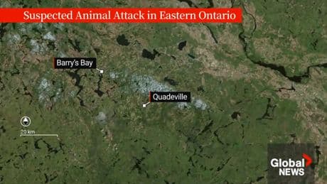 Teen charged in horrific attack on Ontario child police initially attributed to an animal