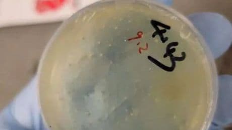 Third Chinese scientist arrested after smuggling ‘biological pathogens’ into US from Wuhan after ‘agroterrorism’ probe