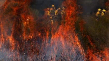 Portugal, Grèce, Albanie, Espagne : l’Europe du Sud en proie aux incendies et à la canicule