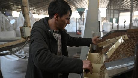 «Plus de trois milliards d’euros de perte»: l’Europe réintroduit des droits de douane sur les produits agricoles ukrainiens