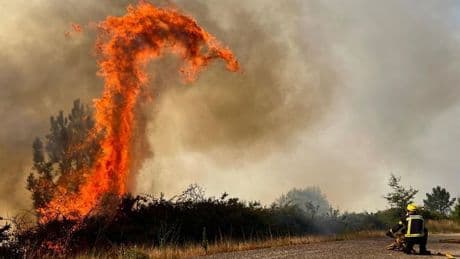 Desde tos hasta infecciones respiratorias: los incendios ponen riesgo la salud de las personas