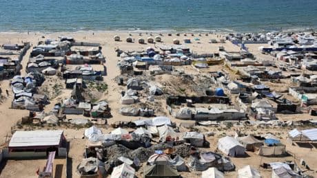 Agriculture de survie à Gaza : un agriculteur face à la famine et au blocus