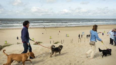 Week begint onstuimig en met flinke wind, later meer ruimte voor de zon