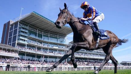 Wednesday racing tips: Best bets and odds for day one at York’s Ebor Festival