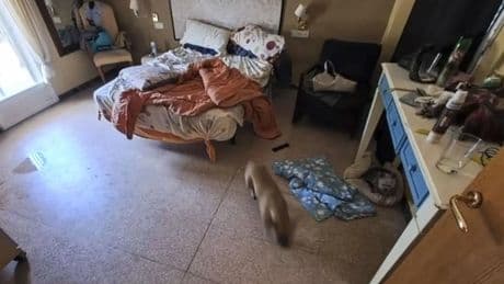 Las entidades sociales exigen investigar la muerte de un hombre con parálisis cerebral en un centro ilegal
