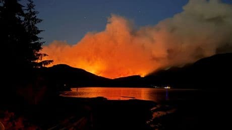 Significant rainfall slows spread of some wildfires on Vancouver Island