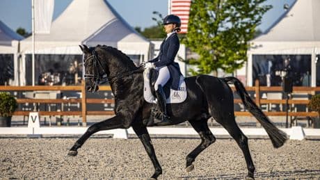 Hoe drie paarden dressuuramazone Marieke van der Putten naar het EK kunnen brengen