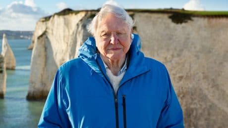 How to watch David Attenborough’s new film Ocean as TV legend nears 99th birthday