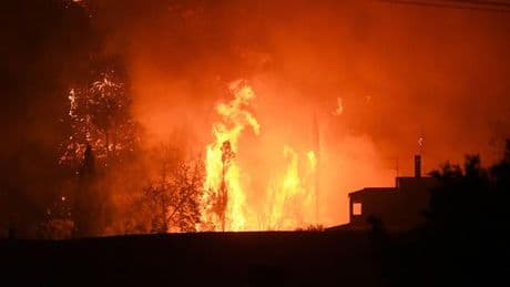 Waldbrände: Griechenland: Mehr als 300 Brandstifter festgenommen