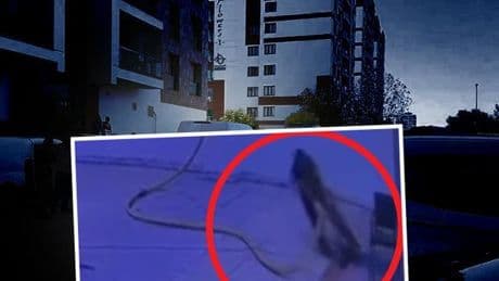 Bodrum katta facia: Kapıcının öldüğü olay kamerada