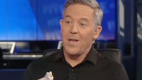 Greg Gutfeld taunts recently-canceled Fox News host Howard Kurtz over Charlie Kirk comments