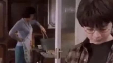 Harry Potter fans just realising what Aunt Petunia is doing in kitchen scene