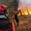 100 hectares ravagés en forêt de Brocéliande : l’incendiaire présumé hospitalisé en psychiatrie