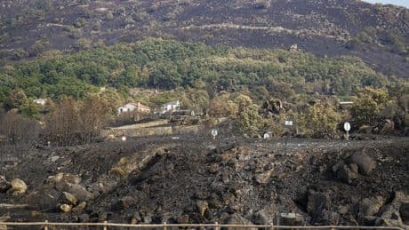 Miedo al “monstruo” de Jarilla, que no da tregua: “Si entra en el Valle, estamos perdidos”