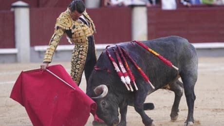Uceda Leal reverdece los laureles del clasicismo; La Quinta homenajea a los criadores de bravo en Las Ventas