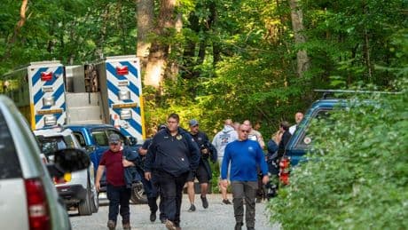 A lack of oxygen likely incapacitated the pilot of a private jet that crashed in Virginia in 2023