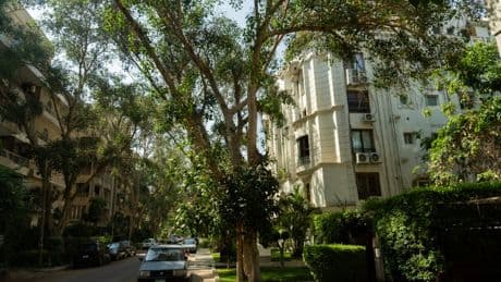 This boho Cairo neighbourhood is the perfect escape from the hustle of Egypt’s busiest city