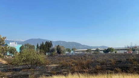 İzmir’de çıkan ot yangını AVM otoparkına sıçradı