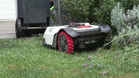 Schleswig-Holstein: Erste Städte wollen Nachtfahrverbot für Mähroboter einführen