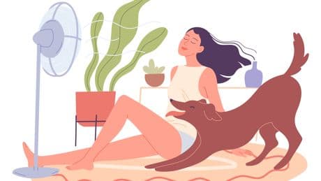 Can you still love summer when it’s so damn hot?