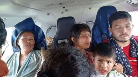 How five people survived 36 hours in swamp surrounded by alligators after plane crash