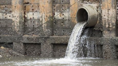 Why aquatic life is facing a double whammy as sewage overflows spill into rivers