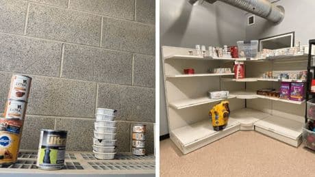 Demand is surging for the BC SPCA’s pet food bank, but donations are falling