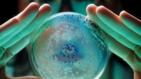 Warning over 'life-threatening' bacteria on common object that lives in your pocket
