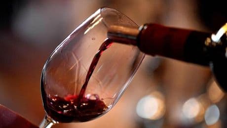 Der schöne Schluss : Neue Rebsorten retten die Zukunft der Weinregion Bordeaux