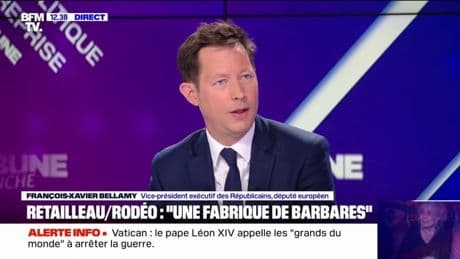 Pompier percuté à Évian: "C'est le résultat d'un ensauvagement", affirme François-Xavier Bellamy