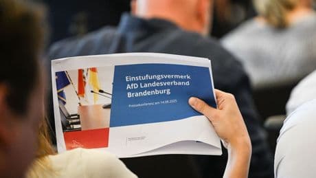 Rechtsextremismus: Woidke zum Umgang mit der AfD: "Da sind Fehler passiert"