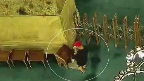 Son dakika... Ayasofya Camii'nde yangın çıkarmaya çalışan şüphelinin görüntüleri ortaya çıktı!