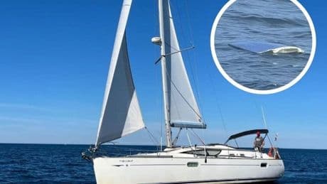 «Sentí pánico. Las orcas jugaban con el barco como si fuera una peonza»
