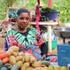 "Le manioc, les bananes, tout est parti" : à Mayotte, la souveraineté alimentaire toujours menacée, six mois après le passage de Chido