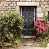 Quatre idées pour fleurir facilement vos plates-bandes avec des plantes faciles à vivre
