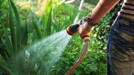 Hosepipe ban looms for millions of Yorkshire households