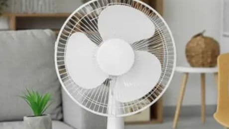 Shoppers beat the heatwave by snagging 'small but powerful' Argos fan for less than £3