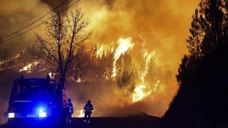 El Gobierno declarará zona catastrófica las áreas afectadas por los incendios