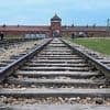 Vorfall in Auschwitz: Zwei Greifswalder Neuntklässler fliegen nach rechtsextremer Geste von der Schule
