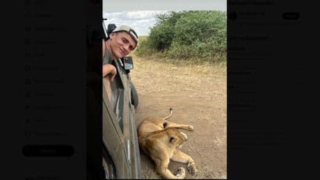 Pedri y Gavi, entre leones en un safari familiar en Tanzania