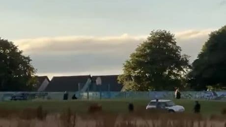 Cops continue hunt for machete thugs in brawl that left XL Bully dead