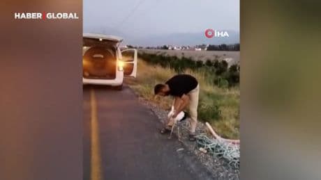 Yaralı leylek duyarlı vatandaşlarca kurtarıldı