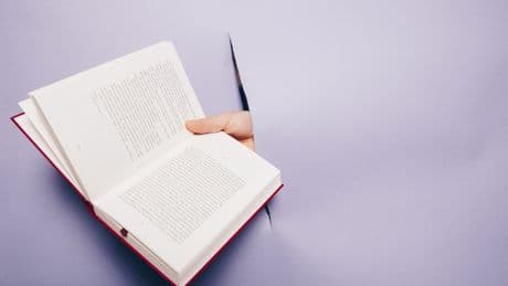 Büchertipps von Leserinnen und Lesern: Von Elefanten und Briefträgern