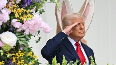 Mein Name ist Hase