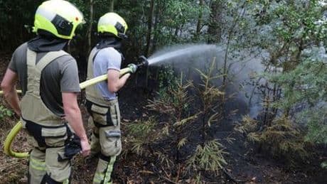 Gera: Feuer im Stadtwald ausgebrochen