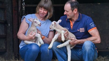 Parasite warning as farm visitors told not to kiss or hug animals during lamb feeding events