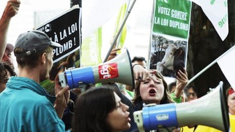 « C’est aussi une question de démocratie » : pétition contre la loi Duplomb, récit d’un succès inédit